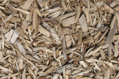 biomass boilers Crackenthorpe